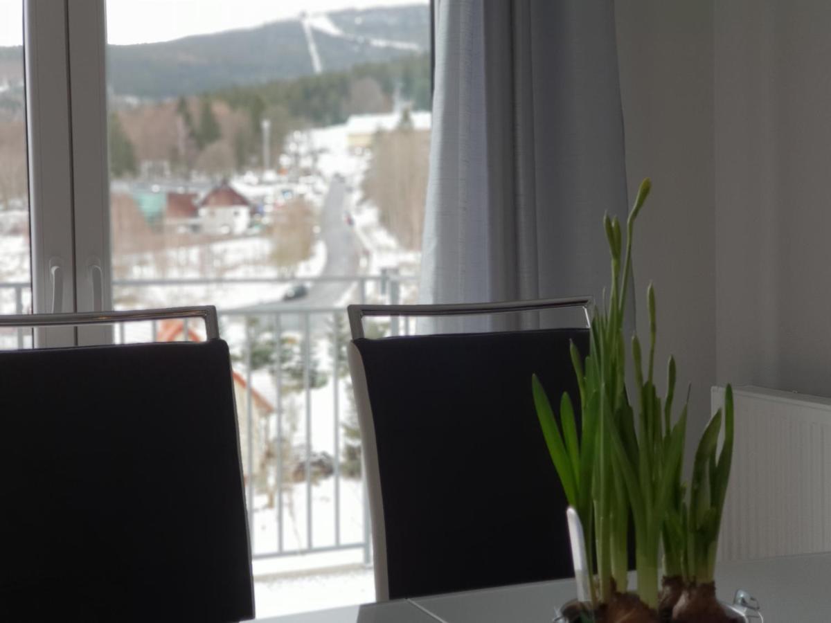 Vera Apartment Świeradów-Zdrój Zakopiańska 22 C m10 Swieradow-Zdroj Exterior foto